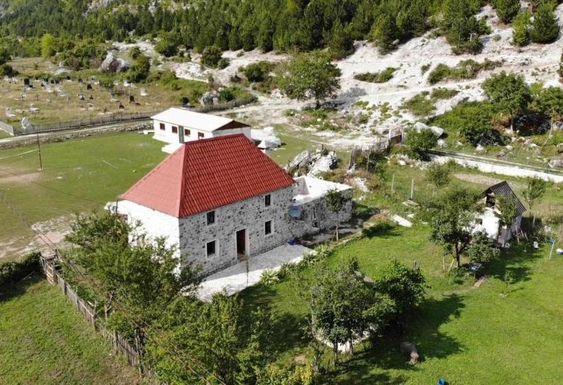 膳宿费 Gjovalin Lokthi