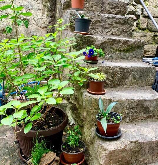 پانسیون Healthystudio512 Apartments