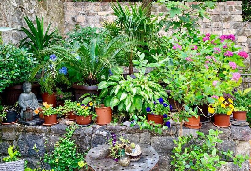 پانسیون Healthystudio512 Apartments