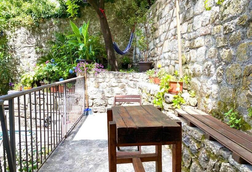 پانسیون Healthystudio512 Apartments