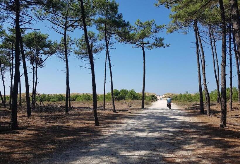 膳宿费 La Loge Du Grand Cèdre, Chambre D'hôtes Socosy