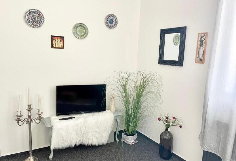 膳宿费 Penzion Villa Amélie