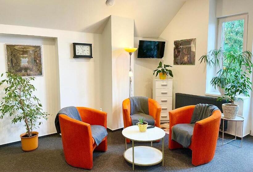 膳宿费 Penzion Villa Amélie