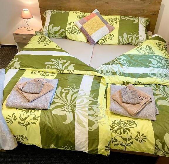 膳宿费 Penzion Villa Amélie