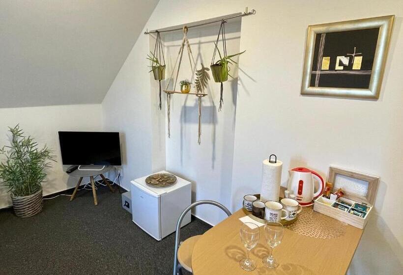 膳宿费 Penzion Villa Amélie