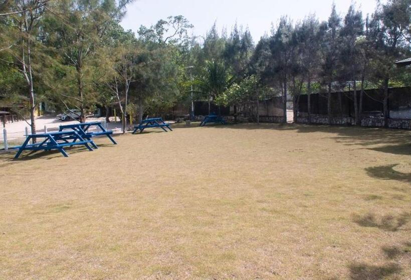 بنسيون Sunset Nabro