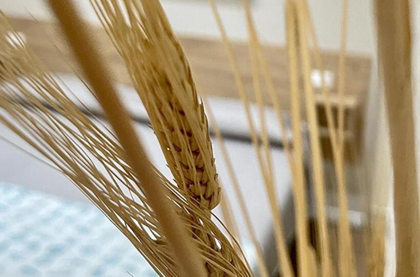 Пансион Vittoria Luxury Suite