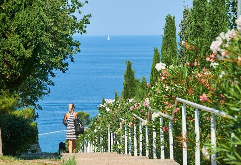 Apartments Bellevue Plava Laguna