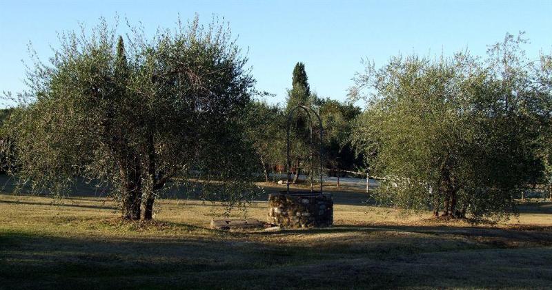 ベッドアンドブレックファースト Agriturismo Podere Casato