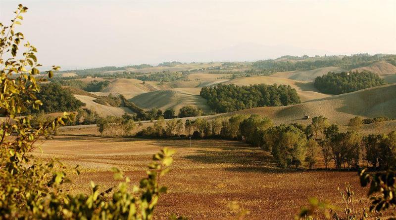 ベッドアンドブレックファースト Agriturismo Podere Casato