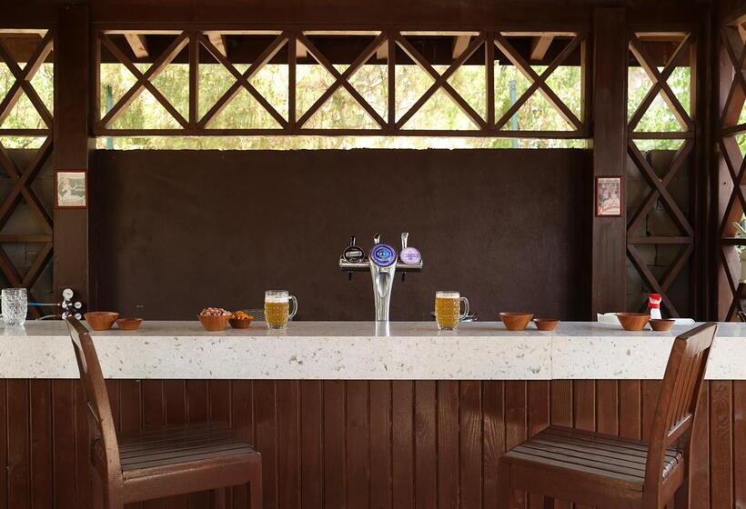 Crystal Paraiso Verde Resort & Spa   Ultimate All Inclusive