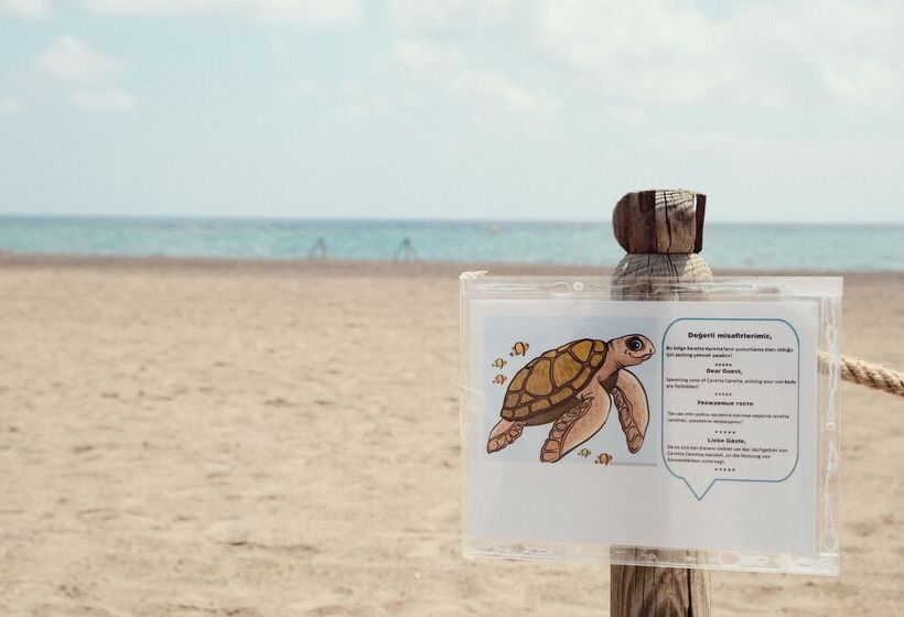 Crystal Paraiso Verde Resort & Spa   Ultimate All Inclusive