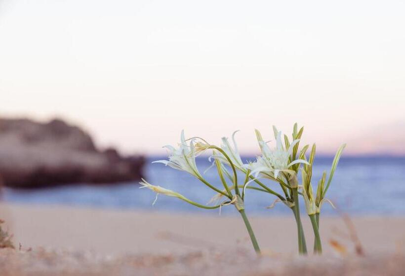 ホテル Alianthos Garden