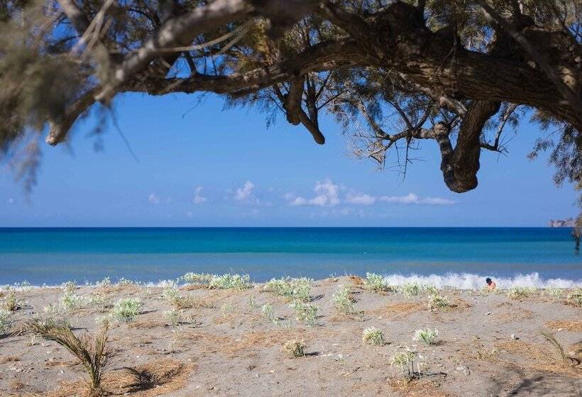 ホテル Alianthos Garden