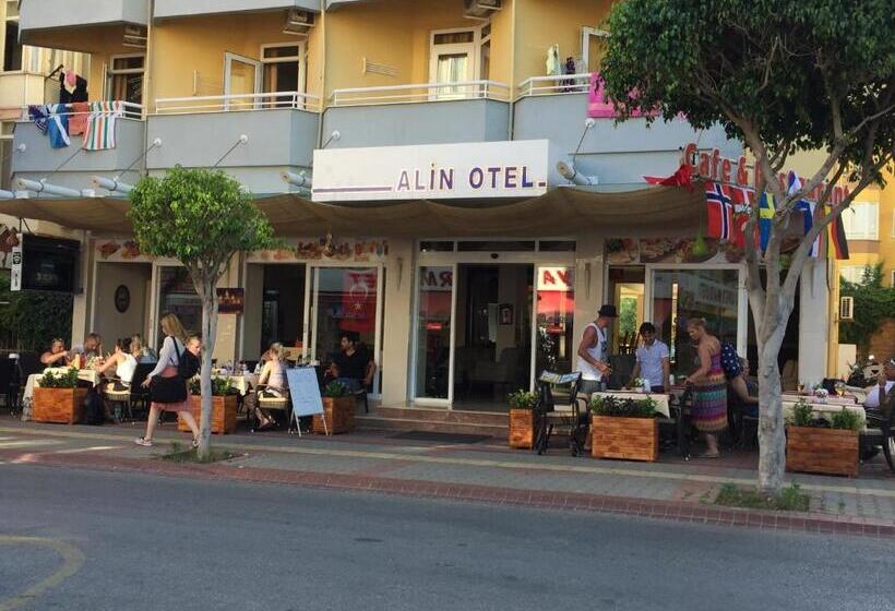 בית מלון כפרי Alin