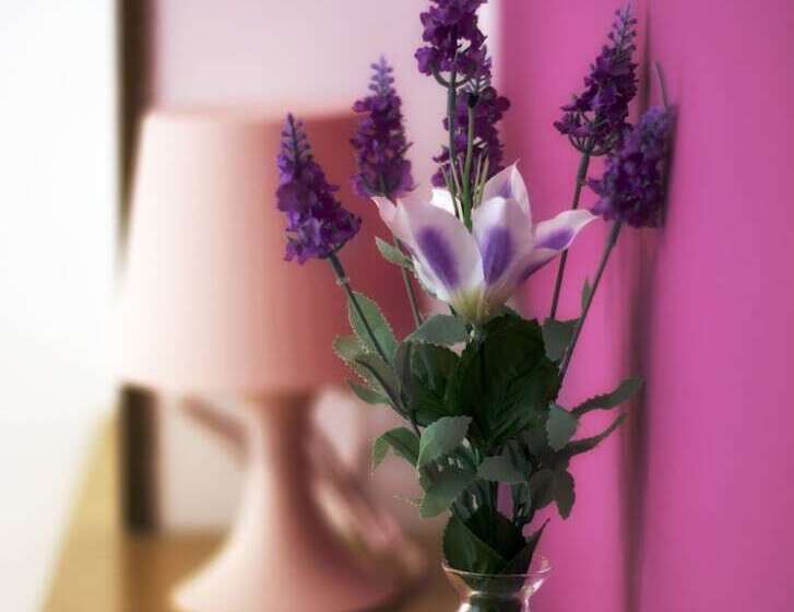 فندق Amica