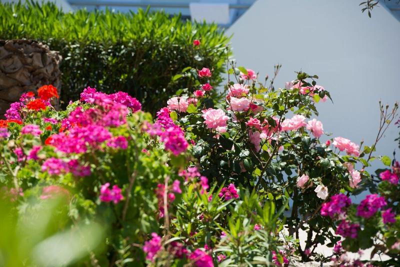 ホテル Amnissos Residence