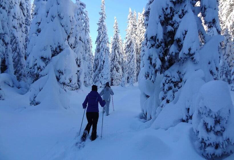 ホテル Apartments Lores