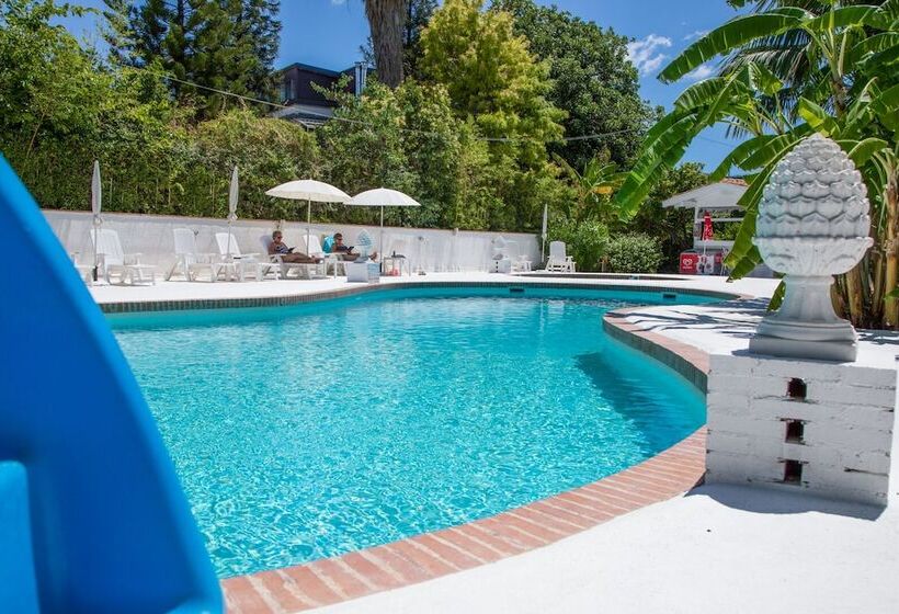 酒店 Assinos Palace