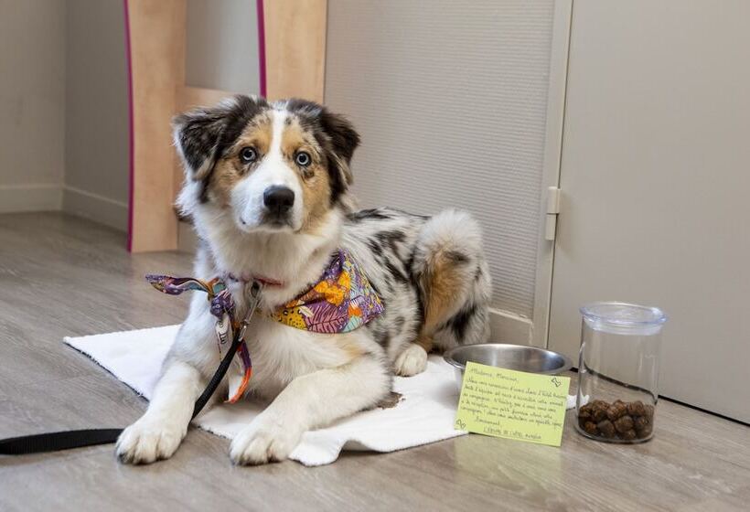 B&b Hotel Aurillac Le Lioran