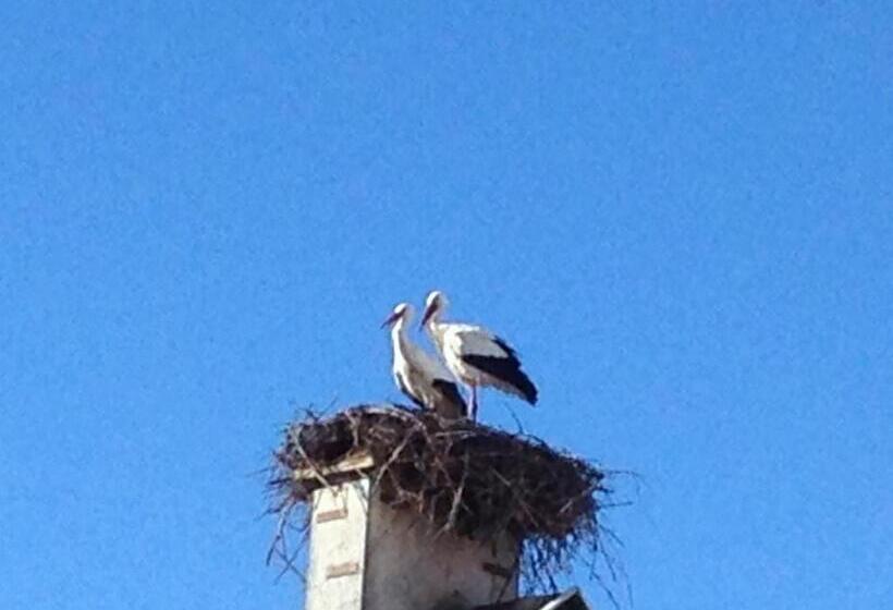 Отель Colmar Vignes Eguisheim