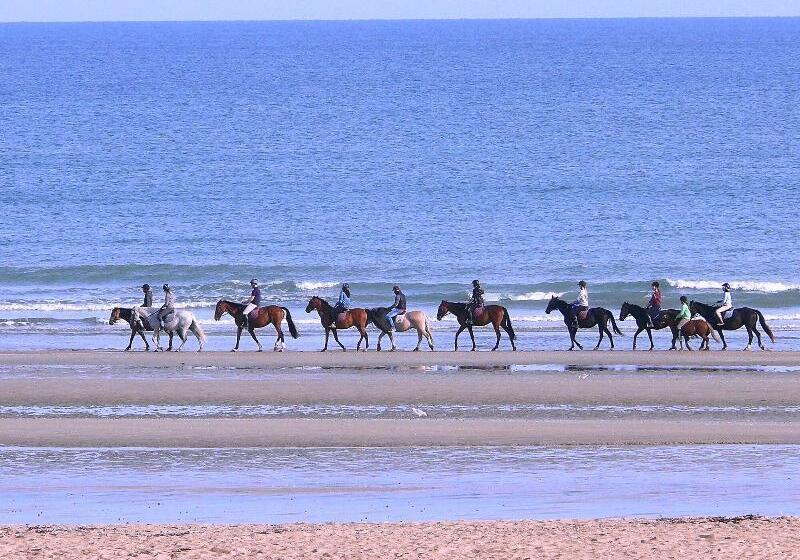 酒店 Crocus Caen Memorial