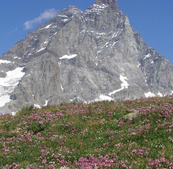 בית מלון כפרי Dama Bianca