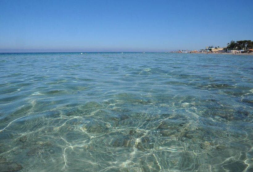 호텔 Delfino Beach