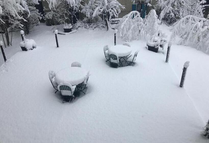 Отель Grand Hôtel Des Alpes