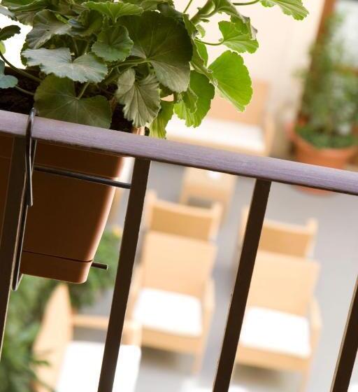 호텔 Grande Albergo Alfeo