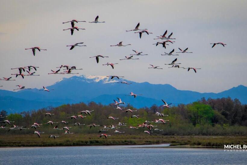 Отель Hôtel A Casa Di Maria Cicilia