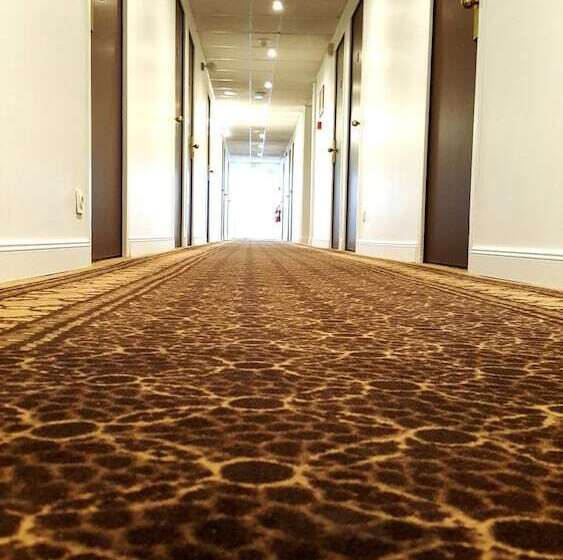 Отель Hôtel Eclipse