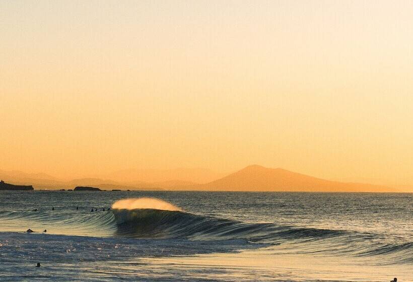 호텔 Hôtel Florida