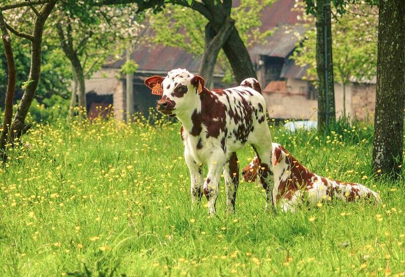 酒店 Ibis Bayeux Port En Bessin