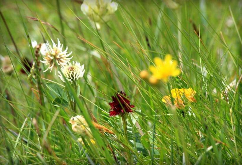 Отель La Pineta