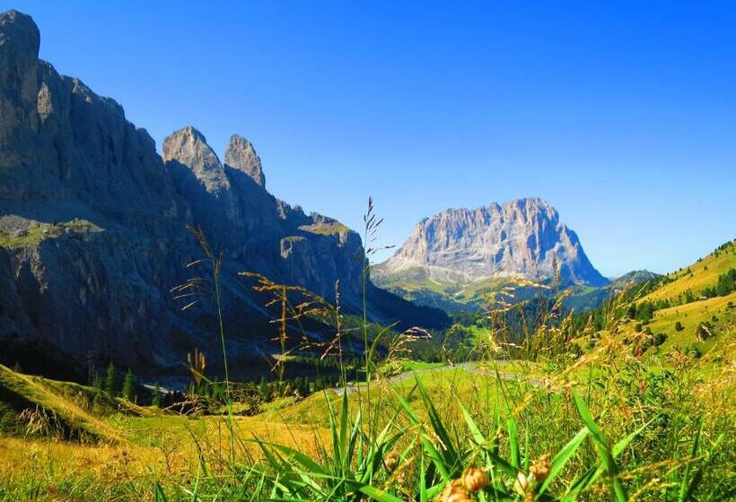 Отель La Pineta