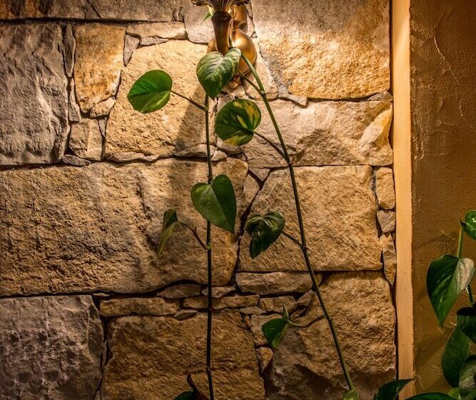 Отель Les Cretes Blanches