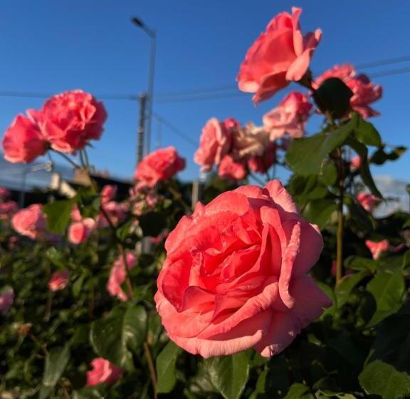 호텔 Maison Cabotte