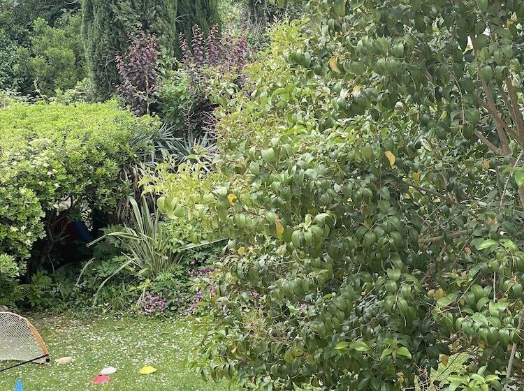 هتل Mas De Galoffre