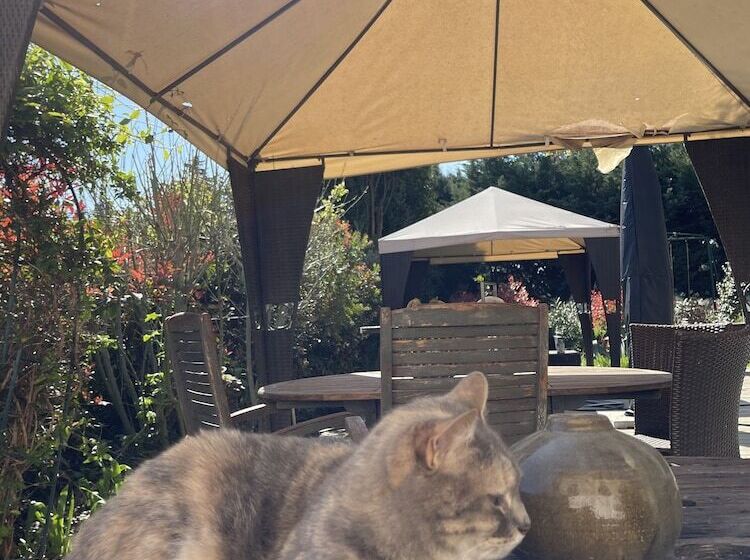 هتل Mas De Galoffre