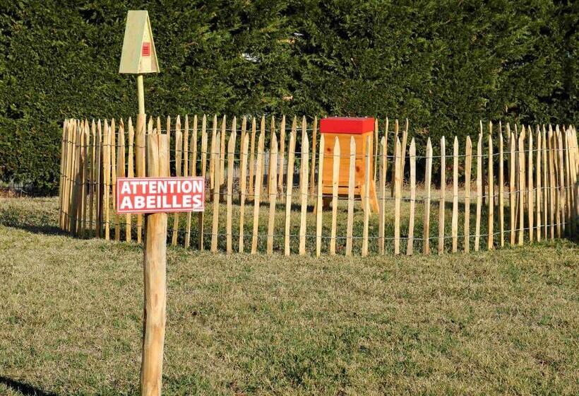 酒店 Mercure Lyon Est Chaponnay