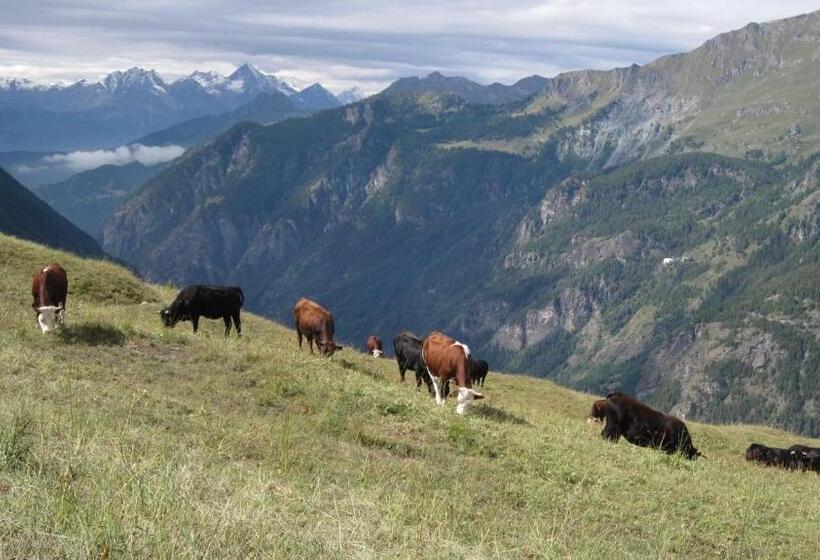 בית מלון כפרי Meublè Meridiana