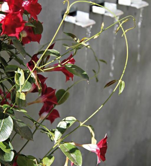 酒店 Montaigne & Spa