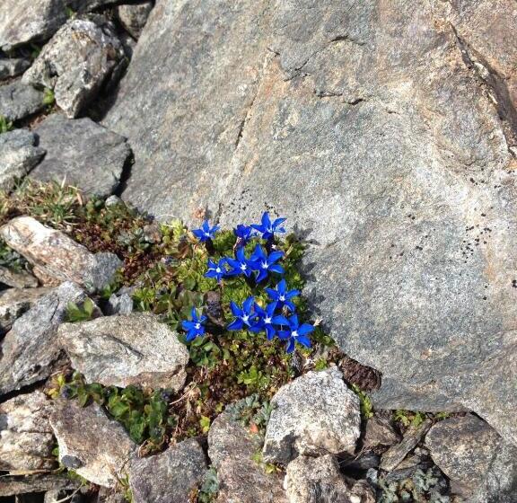 בית מלון כפרי Nordend