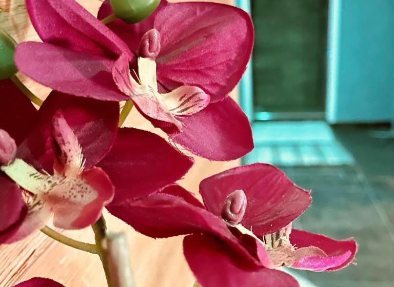 בית מלון כפרי Nordend