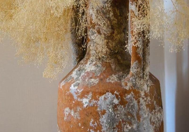 ホテル Palazzo Marzoli Charme Resort  Small Luxury