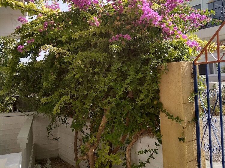 ホテル Panorama Genadi