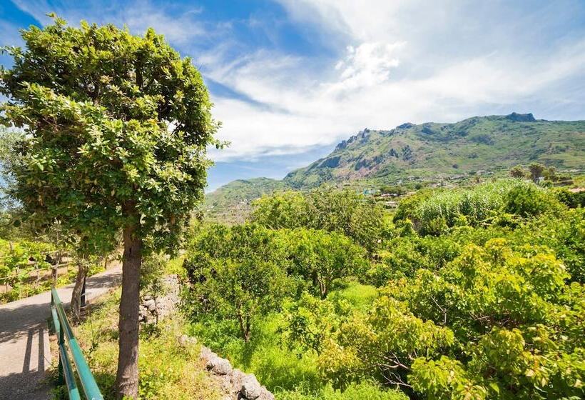 Park Hotel Terme Mediterraneo