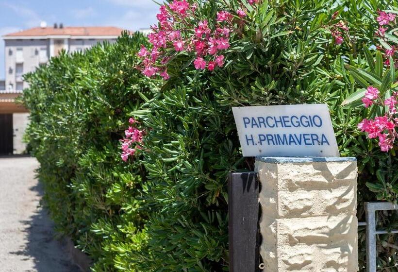 هتل Primavera Sul Mare