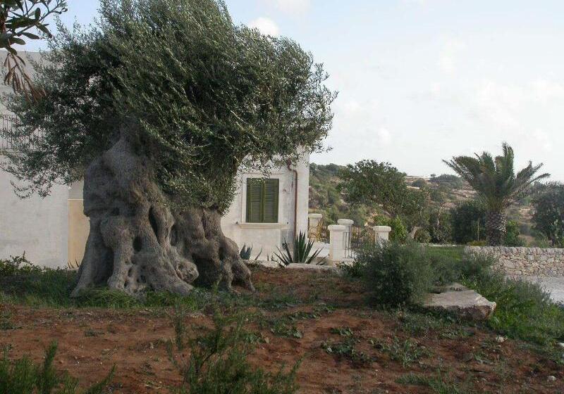 בית מלון כפרי Relais Parco Cavalonga